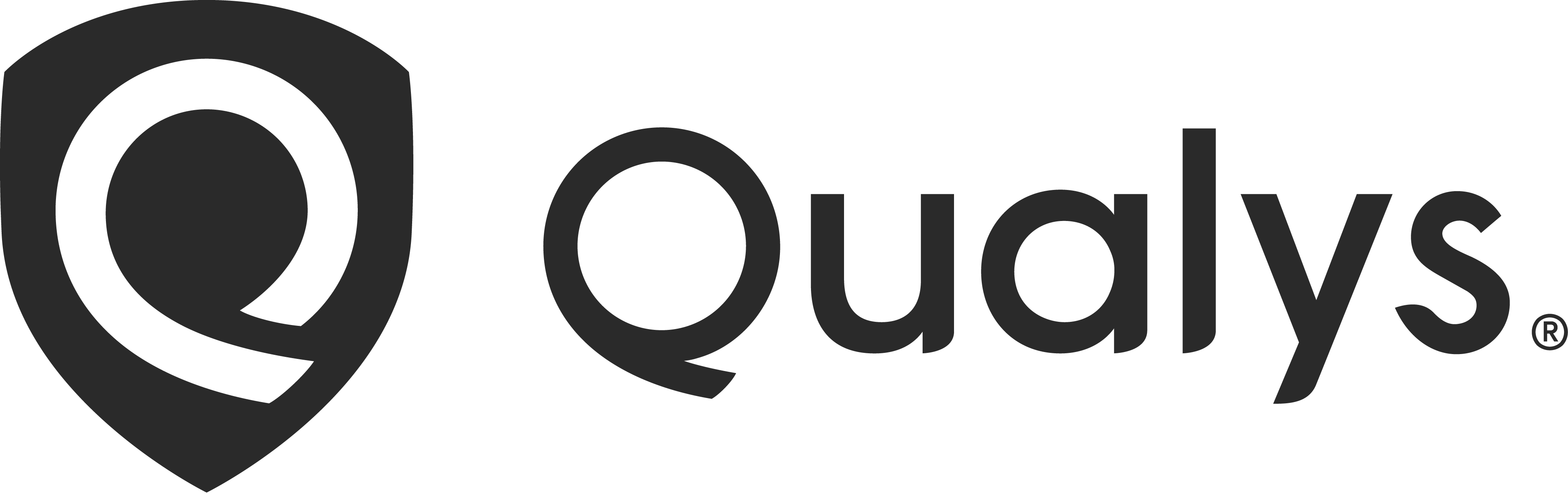 qualys icon