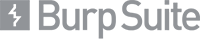 Burp Suite icon